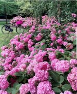 IMG_20211106_142935_689.jpg