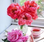 IMG_20211106_142928_836.jpg