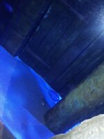 IMG_20230331_102448_427.jpg