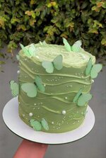 IMG_20230809_212644.jpg IMG_20230809_212644.jpg