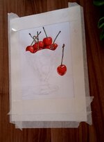 ۲۰۲۴۰۷۱۹_۱۹۰۱۵۶.jpg ۲۰۲۴۰۷۱۹_۱۹۰۱۵۶.jpg