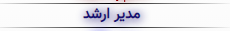 مدیر ارشد.png