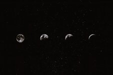 1000074259.jpg