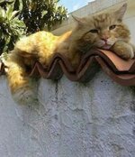 IMG_20220110_224443_766.jpg
