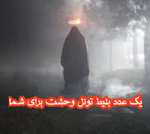 Negar_20220206_232328.png