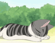 GleamingAdmirableHake-max-1mb.gif