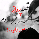 quote_1673950048349.png