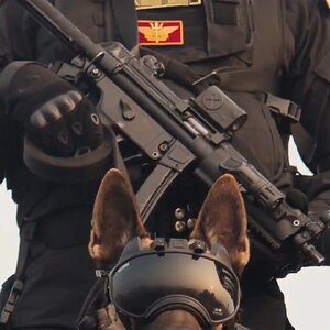 NSG commando _ NSG K9 unit.jpg